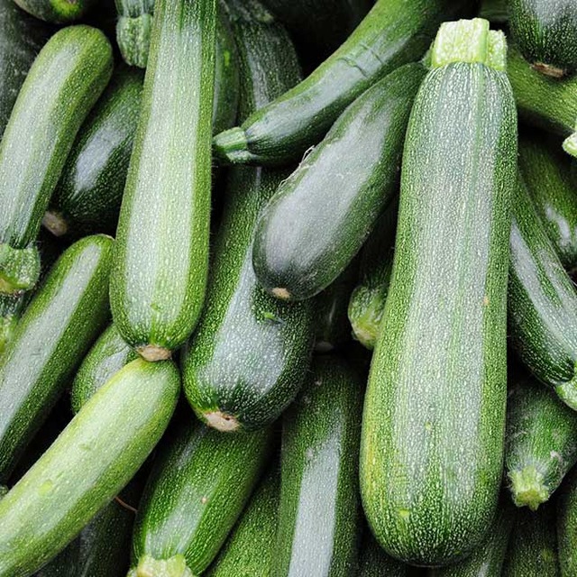 Champignon-Zucchini-Soße auf Tagliatelle